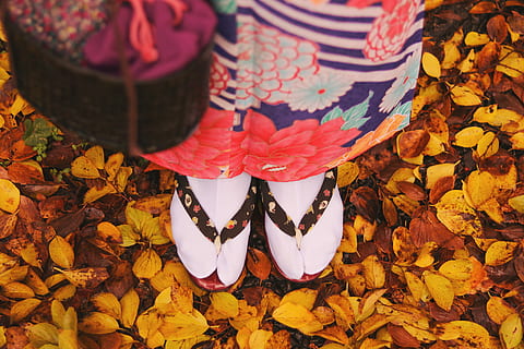 Person, tragen, Paar, schwarz, rot, Flip Flops, Schuh, draußen, Frau, Herbst, mehrfarbig, Frauen, menschlicher Fuß, Menschen, Blatt, traditionelle Kleidung, niedriger Abschnitt, Nahansicht, Pflanzenteil, Veränderung, High Angle View, Natur, Tag, eine Person, Blätter, Kleidung, menschliches Körperteil, Erwachsene, echte Menschen, menschliches Bein, Schönheit in der Natur, Lebensstile, menschliches Glied, Blumenmuster, 1080P, CC0, gemeinfrei, lizenzfrei