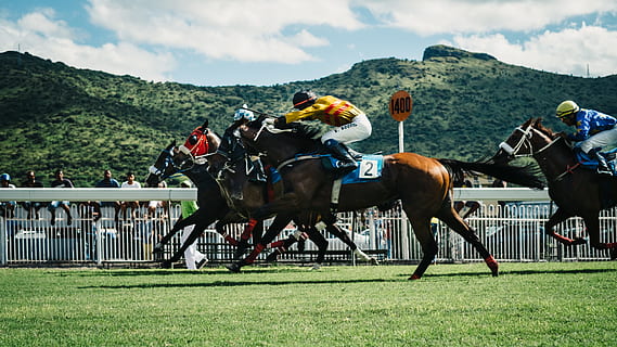 mand, ridning, hest, race, jockey race, væddeløb, hestevæddeløb, hestevæddeløbsspor, sport spor, ridning begivenhed, sport mødested, dyre sport, jockey, flad racing, væddeløbshest, sportsrace, konkurrence, konkurrencedygtig sport, dyr, fuldblodshest, sport, spænding, Japan Racing Association, udendørs, vinder, husdyr, indenlandske, pattedyr, dyreliv, kæledyr, græs, gruppe af dyr, aktivitet, plante, gruppe af mennesker, dag, herrer, natur, rigtige mennesker, bjerg, planteædende, 4K, CC0, offentligt domæne, royaltyfrie