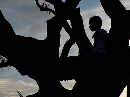 pensando, árbol, puesta de sol, inspiración, inteligencia, gente, naturaleza, sabiduría, memoria, ramas, sombra, Art º, sentado, contemplativo, paz, silueta, militar, Sólo para adultos, soldado del ejército, parte del cuerpo humano, gente real, cielo, estilos de vida, actividad de ocio, grupo de personas, hombres, unión, nube - cielo, vista de ángulo bajo, mujer, amistad, al aire libre, adulto, día, grupo, brazo humano, brazos levantados, 5K, CC0, dominio público, libre de derechos