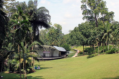 taman, botani, pohon, flora, bunga, cerah, pemandangan, singapura, pohon palem, iklim tropis, alam, di luar rumah, warna hijau, lokasi perjalanan, rumput, Arsitektur, tidak ada orang, struktur yang dibangun, eksterior bangunan, menanam, pertumbuhan, langit, hari, keindahan di alam, awan - langit, moda transportasi, bidang, angkutan, tanah, 1080P, CC0, domain publik, bebas royalti
