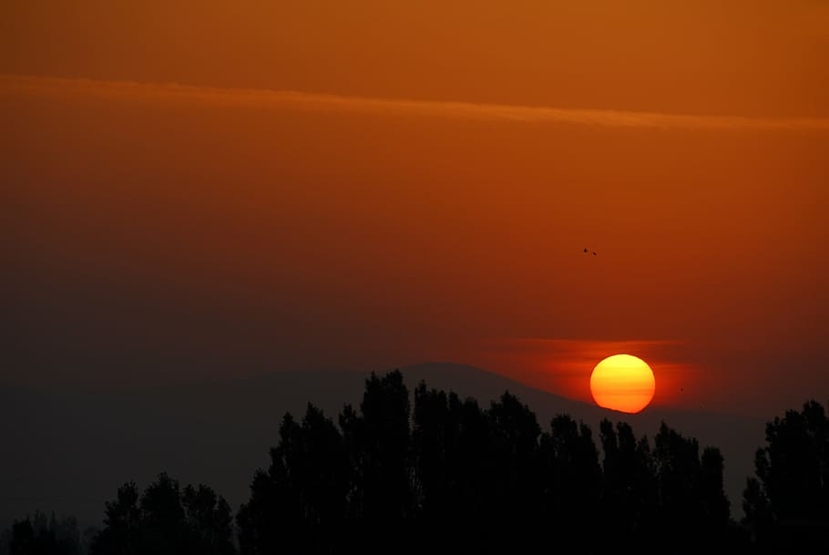 sol, posta de sol, naturalesa, cel, cel del capvespre, silueta, escenics, color taronja, arbre, bellesa a la natura, cel dramàtic, escena tranquil·la, escenics - natura, tranquil·litat, planta, cap gent, idíl·lic, núvol - cel, a l'aire lliure, escena no urbana, bosc, paisatge, cel romàntic, 4K