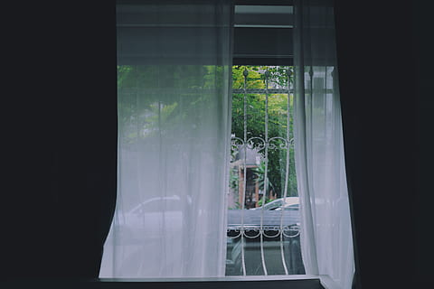 Weiß, Vorhang, Metallfenster, neben, Fenstergitter, Fenster, Dunkelkammer, die Architektur, drinnen, Glas - Material, keine Leute, Tag, Pflanze, transparent, Wachstum, Natur, gebaute Struktur, grüne Farbe, Textil-, Baum, Gebäude, Balkon, öffnen, Fensterrahmen, 5K, CC0, gemeinfrei, lizenzfrei