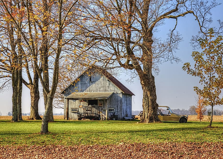 graner, rústic, graners, ohio, art digital, rural, escènic, país, camp, paisatge, cobert, coberts, granja, granges, agricultura, agrícola, Masia, campanar, comtat, americana, foto, fotografia, estructura, estructures, sturgell, William Sturgell, factura sturgell, històric, decoració de la llar, edificis, núvols, cel, arbre, arbres, ennuvolat, cels, males herbes, comtat del campanar, urbana, planta, arquitectura, estructura construïda, exterior de l'edifici, edifici, terra, naturalesa, dia, cap gent, casa, herba, creixement, escena rural, tranquil·litat, bellesa a la natura, edifici agrícola, a l'aire lliure, 4K