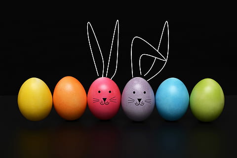 assorted-color egg figures, easter, egg, easter egg, rabbit, ears, funny, color, easter eggs, holiday, spring, celebration, decoration, colorful, fun, traditional, season, celebrate, easter egg hunt, happy, colored, painted, multi colored, creativity, black background, art and craft, studio shot, food, group of objects, indoors, still life, variation, choice, no people, anthropomorphic smiley face, food and drink, 5K