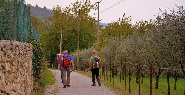 excursie, drum, măslini, valle, traseu, e5, european, Lessinia, Munte, calea europeană, Italia, rucsac, doi oameni, lungime totală, adult, mers, bărbați, natură, plantă, copac, teren, femei, pădure, vedere din spate, resolidarizare, Activitatea de agrement, zi, mişcare, călătorie, cărare, oameni, în mișcare, în aer liber, 5K, CC0, domeniu public, fără drepturi de autor