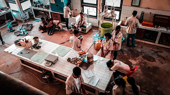 Zkoumání půdy, osoba, růžový, horní, spací, bílý, dlaždice tabulka, dílna, kuchyně, laboratoř, třída, velká skupina lidí, skutečných lidí, vysoký úhel pohledu, skupina lidí, dav, ženy, muži, životního stylu, dospělý, stojící, volnočasové aktivity, den, město, architektura, stůl, relaxace, uvnitř, jednotnost, 4K, CC0, veřejná doména, bez autorských práv