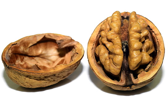 walnut, shell, white, surface, nut, nutshell, open, brain, head, coils, curves, delicious, edible, protection, food, refreshment, seeds, healthy, background, content, brown, food and drink, white background, wellbeing, healthy eating, cut out, freshness, studio shot, nut - food, indoors, dried fruit, fruit, dried food, still life, ingredient, no people, close-up, group of objects, snack, 5K, CC0, public domain, royalty free