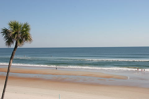 spiaggia, oceano, albero, onde, golfo, sponde, costa, sabbia, Florida, Alabama, terra, mare, acqua, cielo, orizzonte sull'acqua, scenics - natura, bellezza nella natura, Palma, clima tropicale, orizzonte, natura, movimento, persone accessorie, la tranquillità, onda, scena tranquilla, all'aperto, palma da cocco, 2K, CC0, dominio pubblico, privo di copyright