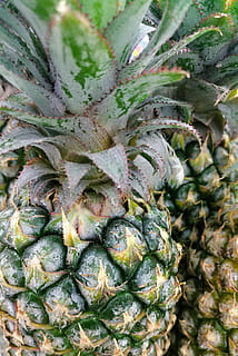ananas, teksturer, spiked, skarp, sur, frugt, ingen mennesker, dag, plante, mad og drikke, tæt på, natur, sund kost, mad, vækst, dyr, baggrunde, fuld ramme, dyre temaer, høj vinkel visning, saftige plante, grøn farve, fugl, dyr i naturen, 2K, CC0, offentligt domæne, royaltyfrie