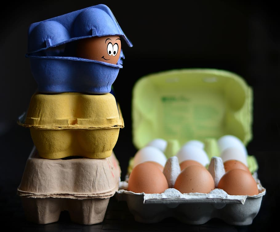 tres, blau, groc, marró, aus de corral, fotografia d'ous, cartrons d'ous, ou, caixa d’òvuls, embalatge d’òvuls, bio, ous orgànics, nutrició, paquet, producte natural, ou de gallina, cap gent, a l'interior, contenidor, natura morta, primer pla, centrar-se en primer pla, menjar, menjar i beguda, representació, fons negre, grup d'objectes, tir de l'estudi, cartró d'ous, creativitat, frescor, grup mitjà d'objectes, naturalesa, en fila, art i artesania, 4K