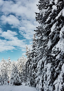 maison, la personne, équitation, lame de ski, grand, des arbres, rempli, neige, jour, forêt, nuage, cloudscape, Montagne, température froide, hiver, arbre, plante, beauté dans la nature, ciel, nuage - ciel, couleur blanche, tranquillité, la nature, paysages - nature, scène tranquille, couvrant, journée, personne, scène non urbaine, congelé, pin, des bois, conifère, montagne au sommet enneigé, 1080P, CC0, domaine public, libre de droits