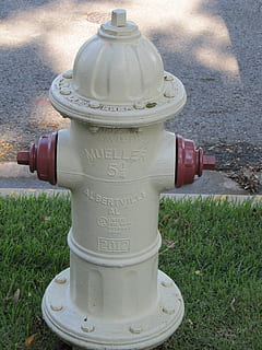 vuurplug, hydrant, plug, water, brand, noodgeval, straat, doven, uitrusting, brandweerman, brandkraan, gras, natuur, veld-, dag, land-, fabriek, metaal, veiligheid, geen mensen, buitenshuis, tekst, communicatie, hoge hoekmening, detailopname, ongevallen en rampen, westers schrift, bescherming, 2K, CC0, publiek domein, royaltyvrij