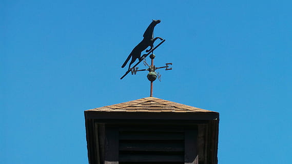 Wind, schwarz, Wetter, Schaufel, Richtung, Himmel, Süden, west, Osten, Norden, Metall, Pfeil, Blau, Dach, Prognose, Gebäude, alt, die Architektur, Jahrgang, Zeichen, Symbol, Windfahne, Wetterhahn, Instrument, metallisch, zeigen, klarer Himmel, Flachwinkelansicht, Wetterfahne, Tag, Natur, keine Leute, gebaute Struktur, Tierthemen, Vogel, Tierdarstellung, Gebäudehülle, Tier, kopieren sie platz, Darstellung, sonnig, draußen, 4K, CC0, gemeinfrei, lizenzfrei