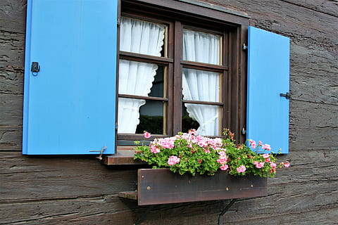 vindue, skodder, facade, bayern, hus, monument, blomst, blomstrende plante, plante, arkitektur, bygget struktur, bygning udvendig, dag, friskhed, træ - materiale, ingen mennesker, natur, bygning, vækst, udendørs, lyserød farve, sårbarhed, skrøbelighed, vindues boks, blomsterkrukke, blomster arrangement, vinduesramme, buket, 4K, CC0, offentligt domæne, royaltyfrie