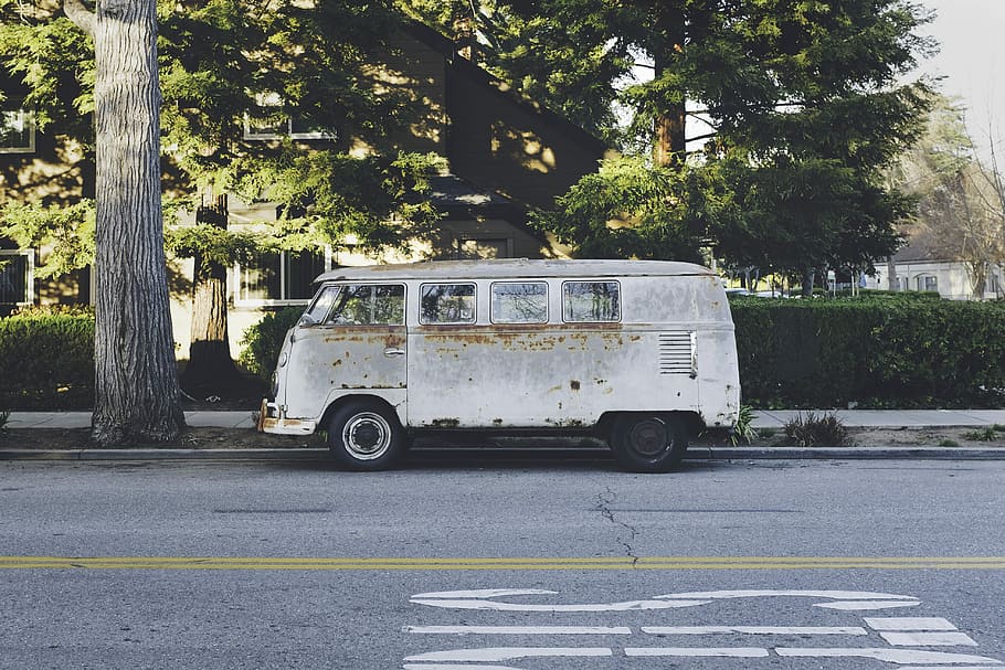 cinzento, ônibus, ao lado, pavimento, dia, branco, furgão, verde, árvore, rua, estrada, oxidado, automóvel, transporte, veículo, volkswagen, veículo motorizado, ferrugem, vw, van de campista, velho, carro, modo de transporte, plantar, cidade, veículo terrestre, natureza, ninguém, estacionamento, ao ar livre, arquitetura, viagem, estacionário, crescimento, 4K