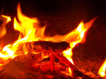 flamme, flammer, ild, bål, camp ild, Camping, campingplads, udspiling, Acadia, parkere, parker, madlavning, gløder, brænding, varme - temperatur, brand - naturligt fænomen, træ, natur, orange farve, nat, log, ingen mennesker, tæt på, bevægelse, Brænde, glødende, træ - materiale, gul, høj vinkel visning, miljø, lejrbål, 1080P, CC0, offentligt domæne, royaltyfrie