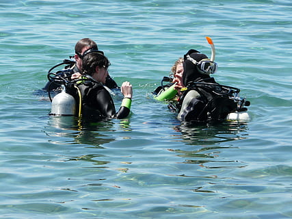mar, bussejadors, busseig, comprovació, aigua, persones, submarinisme, esport aquàtic, esport, nedar, davant del mar, sota l'aigua, aventura, naturalesa, persones reals, busseig submarí, temes d'animals, dia, aqualung - equip de busseig, vestit de busseig, fauna animal, animal, activitat d'oci, a l'aire lliure, snorkel, 2K, CC0, domini públic, lliure de regalies