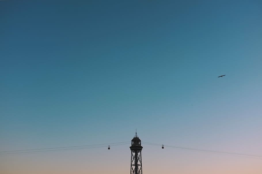 nero, fotografia di paesaggio del palo di utilità, foto, funivia, Torre, blu, cielo, tramonto, Barcellona, uccello, vertebrato, Inquadratura dal basso, natura, animale, temi animali, nessuno, volante, cielo sereno, animali allo stato selvatico, fauna selvatica, copia spazio, architettura, struttura costruita, all'aperto, elettricità, silhouette, Alimentazione elettrica, guglia, 4K