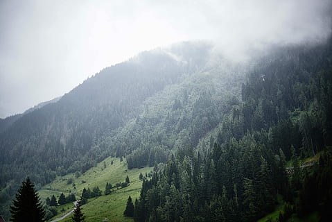 ceață acoperită de ceață, peisaj foto, Munte, nor, pădure, ceaţă, natură, pitoresc, linia copacilor, copac, acoperit de nori, wanderlust, călătorie, peisaj, austrium, st anton, alp, scenice - natura, plantă, teren, frumusețe în natură, mediu inconjurator, conifer, Brad, o scenă liniștită, liniște, Pinaceae, cer, nici o persoana, pini de pădure, de munte, copac vesnic verde, în aer liber, 5K, CC0, domeniu public, fără drepturi de autor