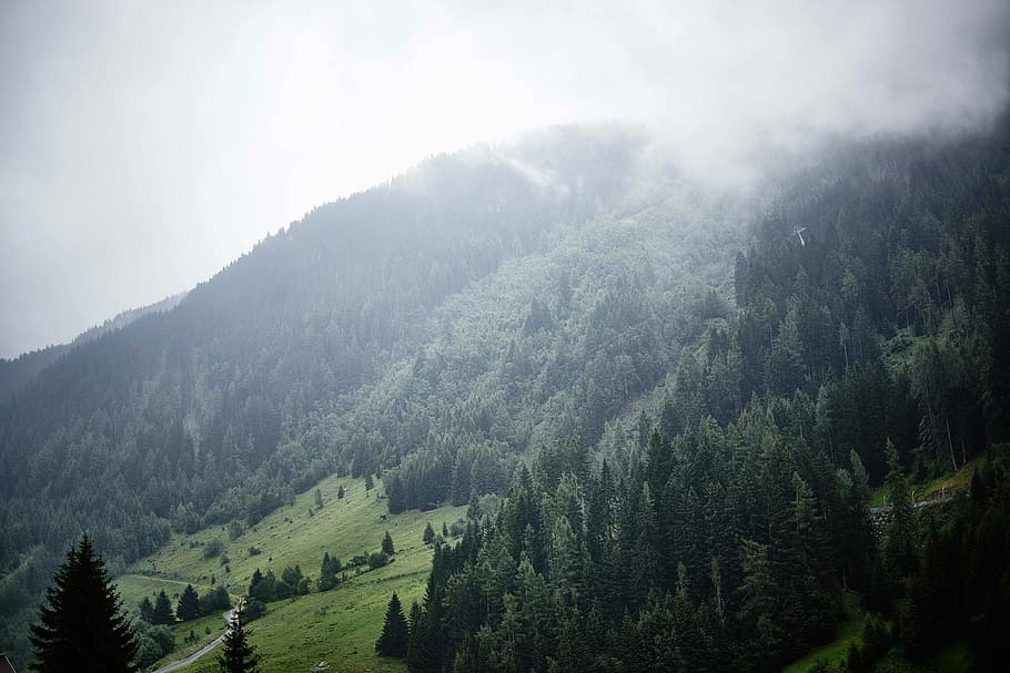 bosc cobert de boira, foto de paisatge, muntanya, núvol, bosc, boira, naturalesa, escènic, treeline, arbre, wanderlust, viatjar, paisatge, austrium, st anton, alp, escenics - natura, planta, terra, bellesa a la natura, medi ambient, arbre de coníferes, pi, escena tranquil·la, tranquil·litat, pinàcies, cel, cap gent, bosc de pi, Serra, arbre de fulla perenne, a l'aire lliure, avet, 5K
