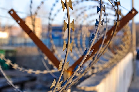 închide, fotografie, barbwires, barbwire, sârmă ghimpată, Securitate, ascuțit, barieră, metal, frontieră, fier, Siguranță, apărare, pază, natură, a închide, plantă, zi, nici o persoana, să se concentreze asupra primelor elemente, creştere, în aer liber, selectiv, frumusețe în natură, lumina soarelui, transport, arhitectură, construită, navă nautică, barcă cu pânze, peisaj, cer, apă, ramură, 4K, CC0, domeniu public, fără drepturi de autor