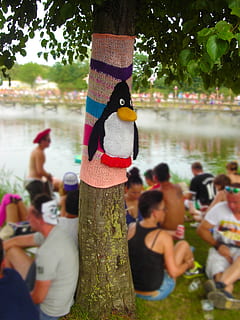 wool, knit, tree, penguin, festival, concert, embroidered, animal, art, human, group, crochet, hand labor, craft, homemade, woollen, people, focus on foreground, plant, real people, day, tree trunk, trunk, nature, outdoors, representation, close-up, men, lifestyles, incidental people, art and craft, celebration, leisure activity, childhood, animal wildlife, 1080P, CC0, public domain, royalty free