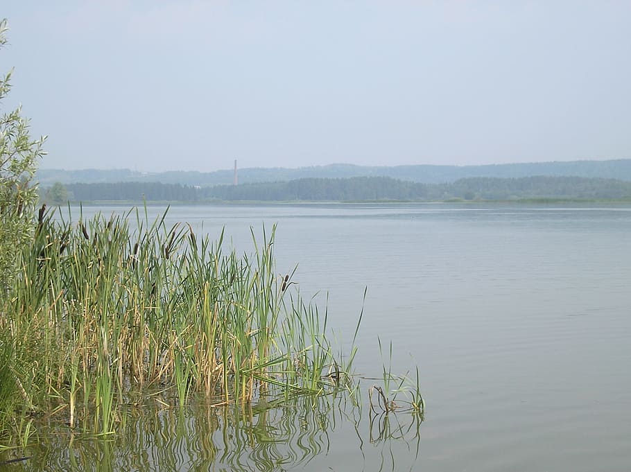 řeka, pláž, nebe, tráva, rákos, mlha, krajina, letní, Příroda, břeh řeky, dahl, hladký povrch, umlčet, Rusko, řeka kama, perm krai, syrové fotografie, voda, klid, rostlina, krása v přírodě, klidné scény, jezero, scenics - příroda, nikdo, den, růst, čisté nebe, mimoměstské scény, zelená barva, venku, kopie prostor, bažina, 1080P