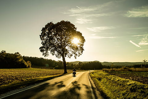 silhuet foto, træ, hovedvej, motorcykel, solnedgang, aften, himmel, landskab, natur, udendørs, vej, landlige scene, sollys, sommer, mennesker, transportmidler, plante, vejen frem, retning, skønhed i naturen, sol, Mark, en person, bevægelse, transportform, jord, rolig scene, faldende perspektiv, linseflare, ridning, 2K, CC0, offentligt domæne, royaltyfrie