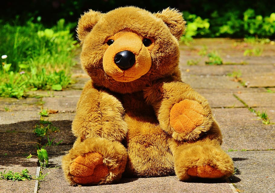 oso de peluche, osos, juguetes, niños, osito de peluche, oso, juguete suave, felpa, linda, dulce, gracioso, divertido, peluche, juguete, nadie, día, amarillo, representación animal, animal, temas de animales, representación, mamífero, naturaleza, centrarse en primer plano, marrón, de cerca, blandura, sendero, al aire libre, luz del sol, 5K