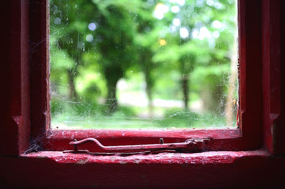 selektivní, zaměření fotografie, Červené, okno, starý, malovat, zelená tráva, stromy, temný, uvnitř, pavučiny, náladový, uvězněn, agorafobie, sklenka, Pohled, venku, Domov, Dům, textura, retro, struktura, rám, grunge, letitý, špinavý, interiér, zvětralý, sklo - materiál, nikdo, průhledný, strom, rostlina, den, zaměřit se na popředí, Příroda, detail, architektura, mokré, parapet, stavba, opuštěný, dveře, 5K