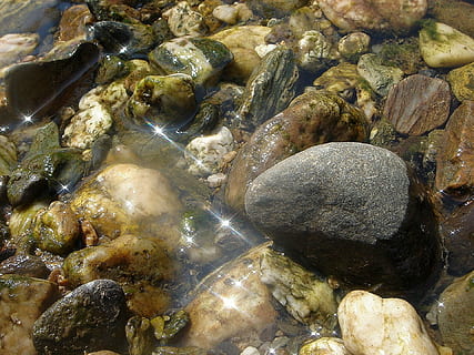 air, sungai, batu, refleksi, balok, transparan, alam, batu - benda, kerikil, di luar rumah, laut, padat, tidak ada orang, tampilan sudut tinggi, bingkai penuh, satwa liar hewan, pantai, hari, hewan, merapatkan, latar belakang, tanah, keindahan di alam, binatang di alam liar, basah, 1080P, CC0, domain publik, bebas royalti