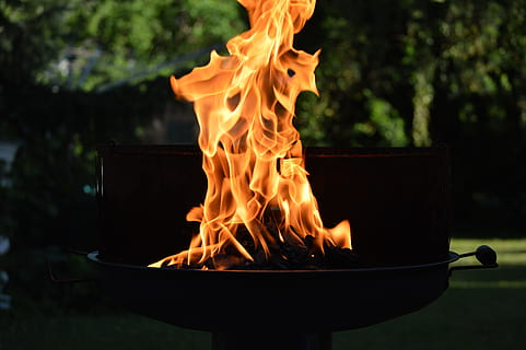 Gasgrill, tagsüber, Feuer, Grill, Flamme, brennen, Holzkohle, Hitze, Treibstoff, heiß, gefährlich, Feuer - natürliches Phänomen, Hitze - Temperatur, Verbrennung, rot, Nahansicht, Natur, schwarze Farbe, draußen, Bewegung, keine Leute, Kamin, Baum, Essen und Trinken, Feuerstelle, orange Farbe, Fokus auf den Vordergrund, glühend, Lebensmittel, Pflanze, 5K, CC0, gemeinfrei, lizenzfrei