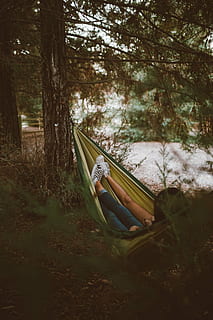 man, woman, lying, hammock, mounted, two, trees, middle, forest, girls, tree, grass, plant, leaf, fall, outdoor, relax, people, kids, nature, no people, day, outdoors, land, growth, beauty in nature, tranquility, transportation, field, nautical vessel, non-urban scene, mode of transportation, tranquil scene, absence, trunk, 5K, CC0, public domain, royalty free