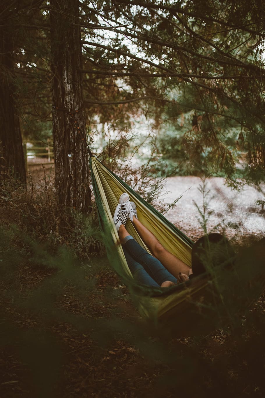 home, dona, estirat, hamaca, muntat, dos, arbres, mig, bosc, noies, arbre, herba, planta, full, caure, a l'aire lliure, relaxa't, gent, nens, naturalesa, cap gent, dia, terra, creixement, bellesa a la natura, tranquil·litat, transport, camp, vaixell nàutic, escena no urbana, manera de transport, escena tranquil·la, absència, tronc, 5K