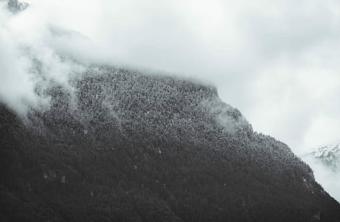 mlhavé hory, letecký, fotografování, mlha, hora, sníh, borovice, krajina, dřevo, les, mrak, zimní, venkovní, Příroda, temný, spád, Šedá, nebe, cestovat, alpe, myst, studená teplota, scenics - příroda, krása v přírodě, přistát, životní prostředí, den, nikdo, mimoměstské scény, strom, klid, venku, rostlina, klidné scény, sněží, horský vrchol, 4K, CC0, veřejná doména, bez autorských práv