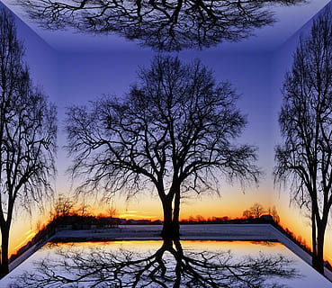terning, træer, landskab, natur, solnedgang, himmel, efterår, grædende pil, lund, plante, montage, photoshop, grafisk, flora, ild, skygge, træ, sne, kold temperatur, vinter, scenics - natur, skønhed i naturen, rolig scene, ro, bare træ, ingen mennesker, ikke-urbane scene, sø, Mark, dækker, afdeling, udendørs, kold, 2K, CC0, offentligt domæne, royaltyfrie