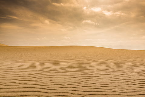 fotografie, pouštní pole, poušť, hnědý, mraky, během dne, krajina, písek, duna, sandscape, písečná duna, suchý, Příroda, suché podnebí, nikdo, venku, teplota - teplota, extrémní terén, scén, letní, poušť Sahara, sucho, klidné scény, přistát, scenics - příroda, mrak - nebe, nebe, klid, krása v přírodě, životní prostředí, klimatu, vzor, mimoměstské scény, vlny, 5K, CC0, veřejná doména, bez autorských práv