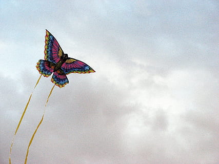 aquilone, nuvole, aria, volare, divertimento, cielo, gioia, colorato, dom, un animale, all'aperto, farfalla - insetto, multicolore, celebrazione, Inquadratura dal basso, nuvola - cielo, natura, giorno, animale, volante, temi animali, vento, bellezza nella natura, nessuno, aquilone - giocattolo, fauna selvatica, mezz'aria, ambiente, ala animale, 2K, CC0, dominio pubblico, privo di copyright