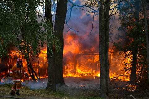 brand, heet, brandweerman, bomen, brandwond, stoven, vlam, hout, vlammende, rood, boom, Bos, brandend, bosbrand, boomstam, warmte - temperatuur, vuur - natuurverschijnsel, rook - fysieke structuur, natuur, fabriek, land-, milieu, waarschuwingsbord, ongevallen en rampen, teken, verwoesting, bezetting, buitenshuis, volwassen, verontreiniging, 5K, CC0, publiek domein, royaltyvrij