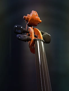 braun, schwarz, Streichgitarreninstrument, Cello, Streicher, Saiteninstrument, Detail, Hals, Schnecke, Holz, Instrument, klassische Musik, Musikinstrument, klassisch, Soundbody, akustisch, klingen, Musik-, 3D-Modell, 3d, Nahansicht, keine Leute, Fokus auf den Vordergrund, Metall, drinnen, orange Farbe, Stillleben, Technologie, Knopf, einzelnes Objekt, Griff, Fahrrad, Geige, Holz - Material, Landfahrzeug, Studioaufnahme, 4K, CC0, gemeinfrei, lizenzfrei