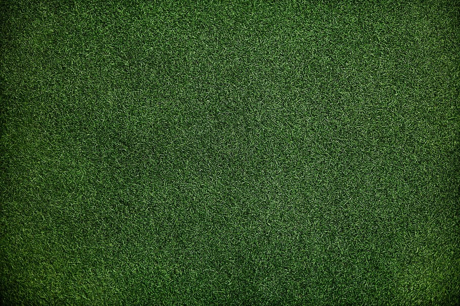 gespa verda, teixit, patró, escriptori, luxe, resum, teló de fons, fons, botànica, primer pla, color, camp, fosc, verd fosc, rosada, medi ambient, ambiental, jardí, jardineria, herba, verd, sòl, gespa, exuberant, prat, natural, naturalesa, parc, planta, sense costures, trébol, senzillesa, estiu, superfície, textura, vinyeta, fons de pantalla, color verd, esport, marc complet, en blanc, esport d’equip, camp de futbol americà, futbol, camp de joc, efecte texturat, futbol americà - esport, cap gent, camp de futbol, còpia espai, equipament esportiu, netejar, 1080P