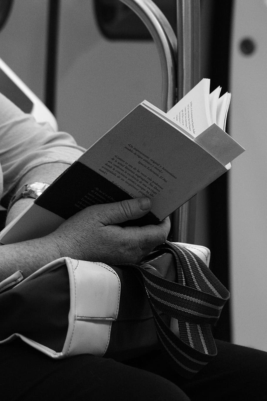 llibre de lectura de persona, commutar, passatger, llibre de lectura, lectura, llibre, viatjar, transport, gent, viatge, tren, ciutat, modern, públic, moviment, persona, dones, metro, pressa, velocitat, adult, espera, distància, trànsit, mà humana, document, homes, part del cos humà, una persona, un sol home, només adults, mà, persones reals, celebració, a l'interior, estils de vida, interior del vehicle, part del cos, persona irreconeixible, activitat d'oci, assegut, cama humana, comunicació, secció baixa, manera de transport, 2K