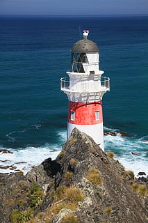 blanco, rojo, Torre de luz, navegación, Faro, costa, marítimo, apuntalar, náutico, punto de referencia, arquitectura, playa, advertencia, dirección, reflector, Faro de Cabo Palliser, Nueva Zelanda, mar, agua, seguridad, proteccion, la seguridad, torre, horizonte sobre el agua, naturaleza, roca - objeto, rock, día, horizonte, tierra, paisajes - naturaleza, nadie, al aire libre, 5K, CC0, dominio público, libre de derechos