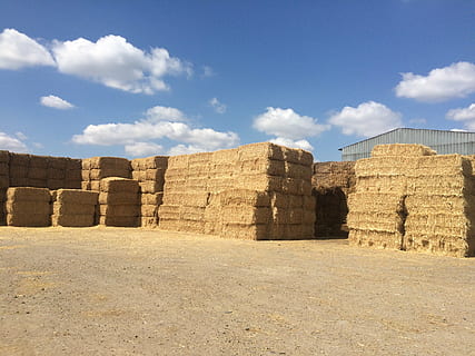pacchi, Grano, pila, Paradiso, estate, agricoltura, balla, fieno, scena rurale, azienda agricola, natura, architettura, nuvola - cielo, cielo, antico, storia, struttura costruita, il passato, giorno, vecchia rovina, luce del sole, nessuno, antica civiltà, all'aperto, terra, archeologia, viaggio, destinazioni di viaggio, parete, ambiente, rovinato, clima arido, 2K, CC0, dominio pubblico, privo di copyright