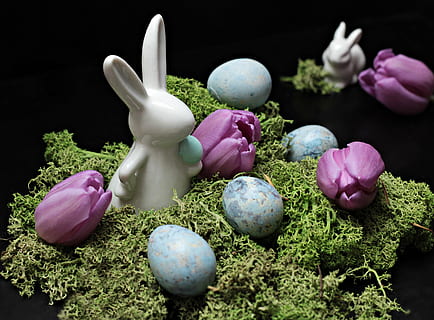 figureta de conill blanc, llebre, conill de Pasqua, Pasqua, primavera, figura, tulipes, porpra, tulipes morades, flors morades, decoració, ceràmica, decoració de pasqua, molsa, ou, blau, ous blaus, dekoeier, papallona, deco, Feliç Pasqua, salutació de pasqua, tema de pasqua, costums, invitació, estat de Pasqua, salutacions de pasqua, tradició, consum de primavera, mapa, targeta de felicitació, postal, salutació, ou de Pasqua, flor, cultures, tir de l'estudi, color rosa, cap gent, planta, herba, celebració, naturalesa, planta amb flors, festa, natura morta, bellesa a la natura, frescor, menjar, representació, fons negre, 4K, CC0, domini públic, lliure de regalies