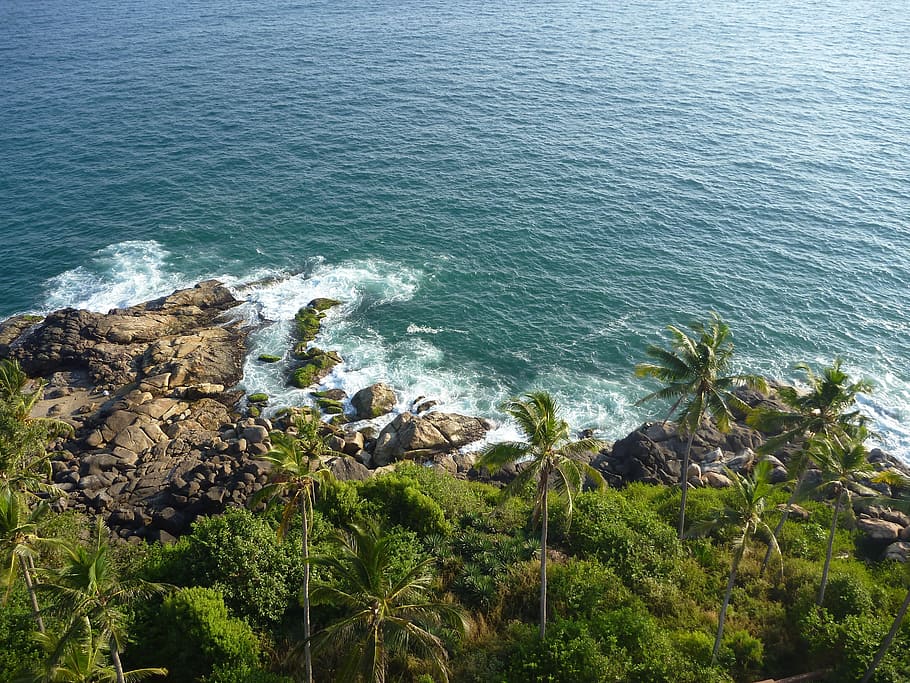 oceà, roques, onades, naturalesa, aigua, blau, verd, mar, tropical, Índia, Riba, Costa, línia de costa, vacances, escènic, paisatge marí, tranquil, paradís, idíl·lic, planta, bellesa a la natura, rock, tranquil·litat, escenics - natura, sòlid, cap gent, rock - object, dia, escena tranquil·la, vista d’angle alt, creixement, arbre, terra, platja, a l'aire lliure, litoral rocós, 2K
