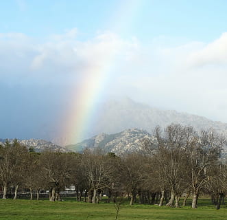 curcubeu, Munte, pădure, copac, plantă, frumusețe în natură, cer, scenice - natura, nor - cer, peisaj, natură, liniște, mediu inconjurator, zi, o scenă liniștită, scenă non-urbană, teren, camp, idilic, iarbă, nici o persoana, în aer liber, 2K, CC0, domeniu public, fără drepturi de autor