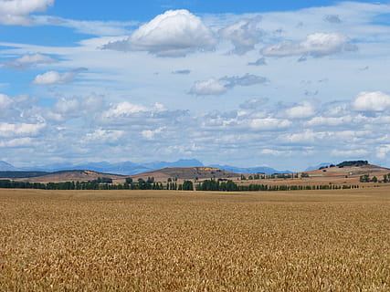 Himmel, Wolken, blau, erde, Landschaft, Blau, Erde, Feld, Berg, Natur, Tag, keine Leute, draußen, wolke - himmel, Umgebung, Land, Landwirtschaft, Szenen - Natur, ruhige Szene, Schönheit in der Natur, Ruhe, ländliche Szene, Pflanze, Ernte, Bauernhof, Wachstum, Plantage, 4K, CC0, gemeinfrei, lizenzfrei