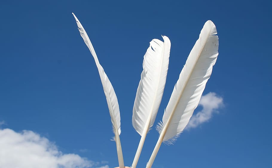 ploma, blanc, facilitat, cel, lleugerament, plomes d’ocells, blau, cap gent, volant, dia, núvol - cel, Color blanc, naturalesa, vista d’angle baix, suavitat, a l'aire lliure, llum solar, bellesa a la natura, medi ambient, assolellat, lleuger, primer pla, vent, pista de vapor, Wispy, 1080P