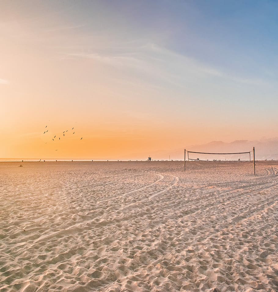 Foto, Volleyball, Netz, Sand, schwarz, Post, grau, Strand, Sonnenuntergang, Spiel, Himmel, Land, Schönheit in der Natur, Szenen - Natur, Meer, ruhige Szene, Ruhe, Tierthemen, Tier, Vogel, Wasser, Wirbeltier, fliegend, Natur, Gruppe von Tieren, orange Farbe, Horizont über Wasser, draußen, keine Leute, Vogelschwarm, 1080P